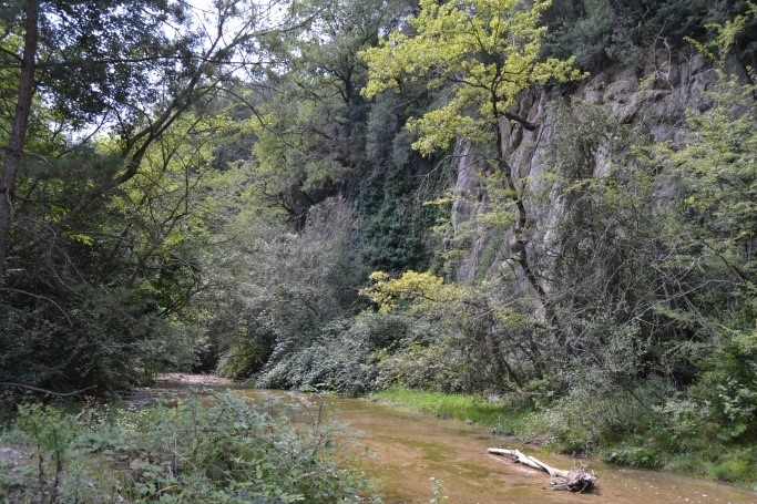 Reserva Natural Fluvial Cabecera de la Riera de Foradada