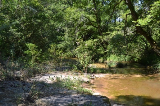 Reserva Natural Fluvial Cabecera de la Riera de Oló
