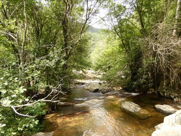 Reserva Natural Fluvial Cabecera de la Riera de Osor