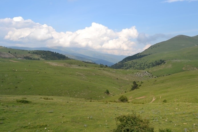 Reserva Natural Fluvial Cabecera del Rigard