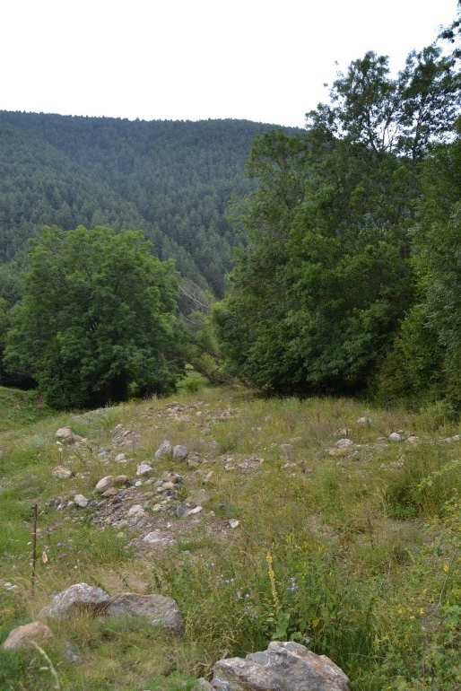 Reserva Natural Fluvial Cabecera del Rigard