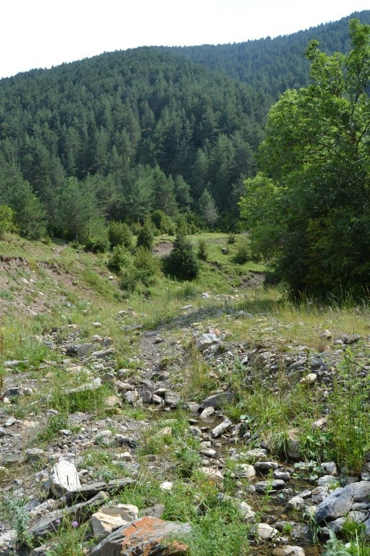 Reserva Natural Fluvial Cabecera del Rigard
