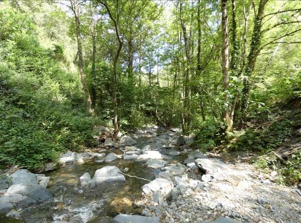 Reserva Natural Fluvial Cabecera del Tordera