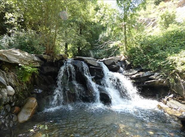 Reserva Natural Fluvial Cabecera del Tordera