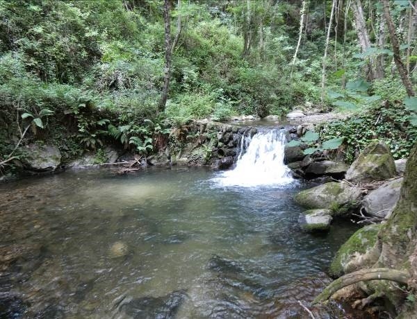 Reserva Natural Fluvial Cabecera del Tordera