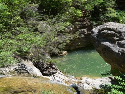 Reserva Natural Fluvial Gorgues del Foix