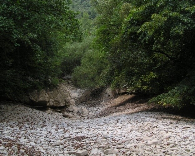 Reserva Natural Fluvial Riera de Oix