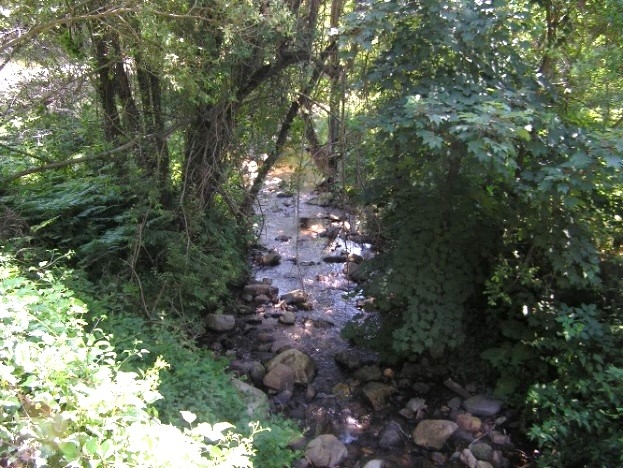 Reserva Natural Fluvial Riera de Santa Fe