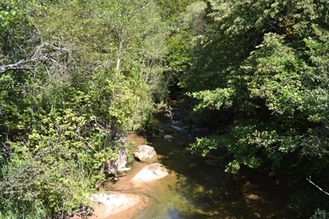 Reserva Natural Fluvial Riera de Vallfogona