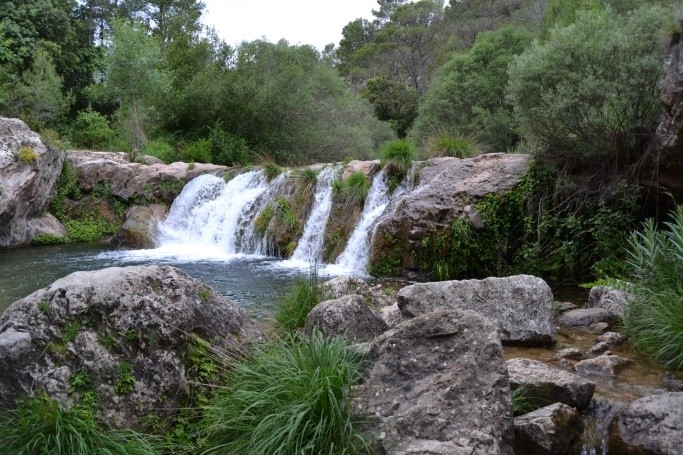 Reserva Natural Fluvial Río Brugent