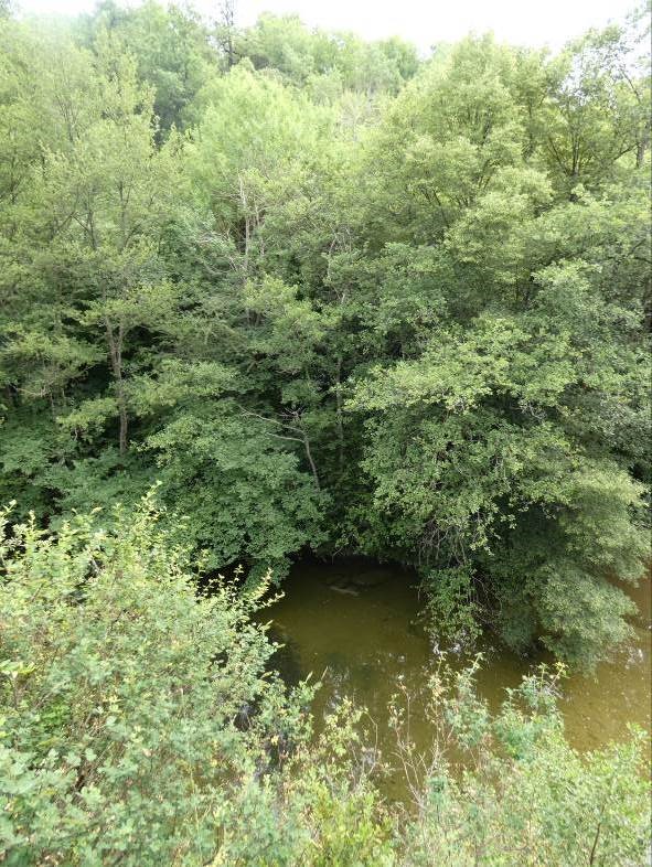 Reserva Natural Fluvial Río Fornés