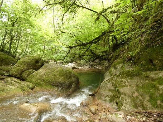 Reserva Natural Fluvial Riera de Santa Llúcia de Puigmal