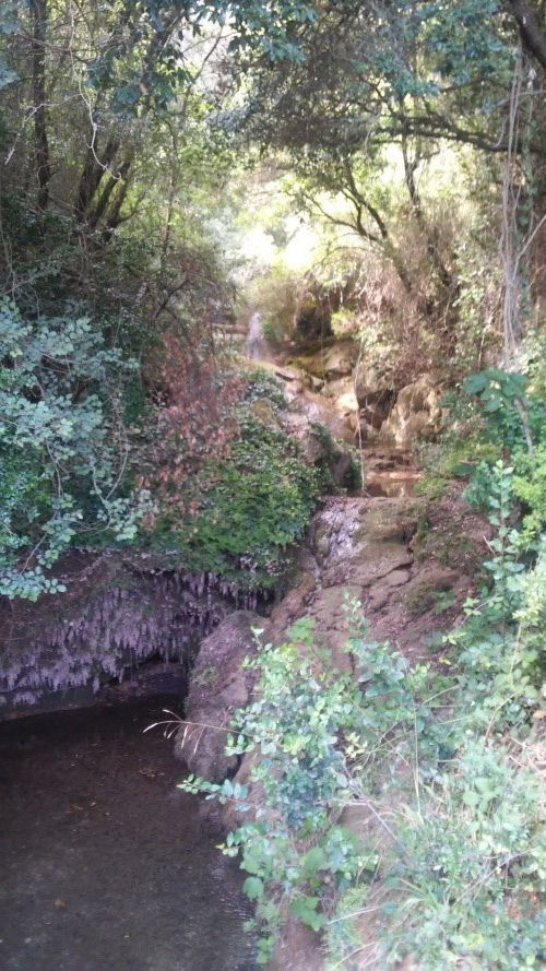 Reserva Natural Fluvial Torrente de Guanta