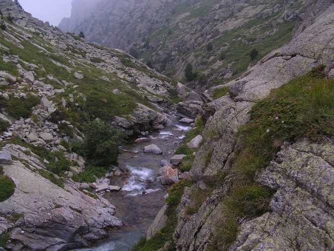 Reserva Natural Fluvial Torrente de Pla de Rus