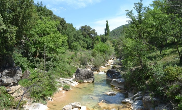 Reserva Natural Fluvial Tramo Medio del Aigua d'Ora