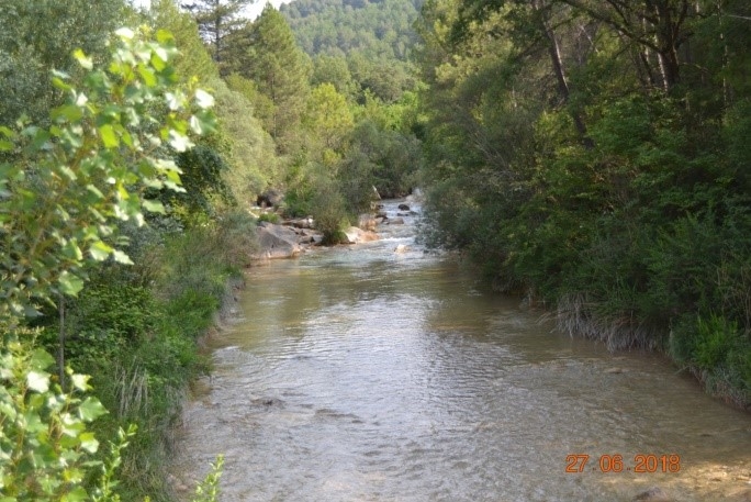 Reserva Natural Fluvial Tramo Medio del Aigua d'Ora