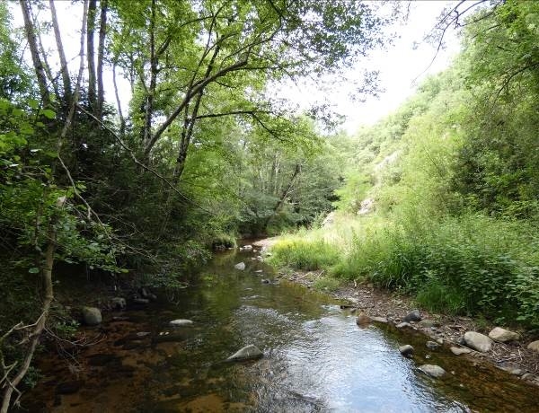 Reserva Natural Fluvial Tramo Medio de la Riera Major