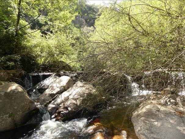 Reserva Natural Fluvial Tramo Medio de la Riera de Osor