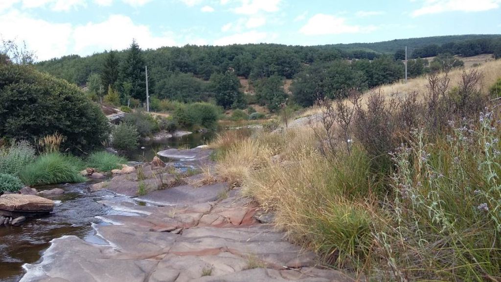 Lecho rocoso de importantes dimensiones por el que circula el río en la reserva natural fluvial Alto Arlanzón