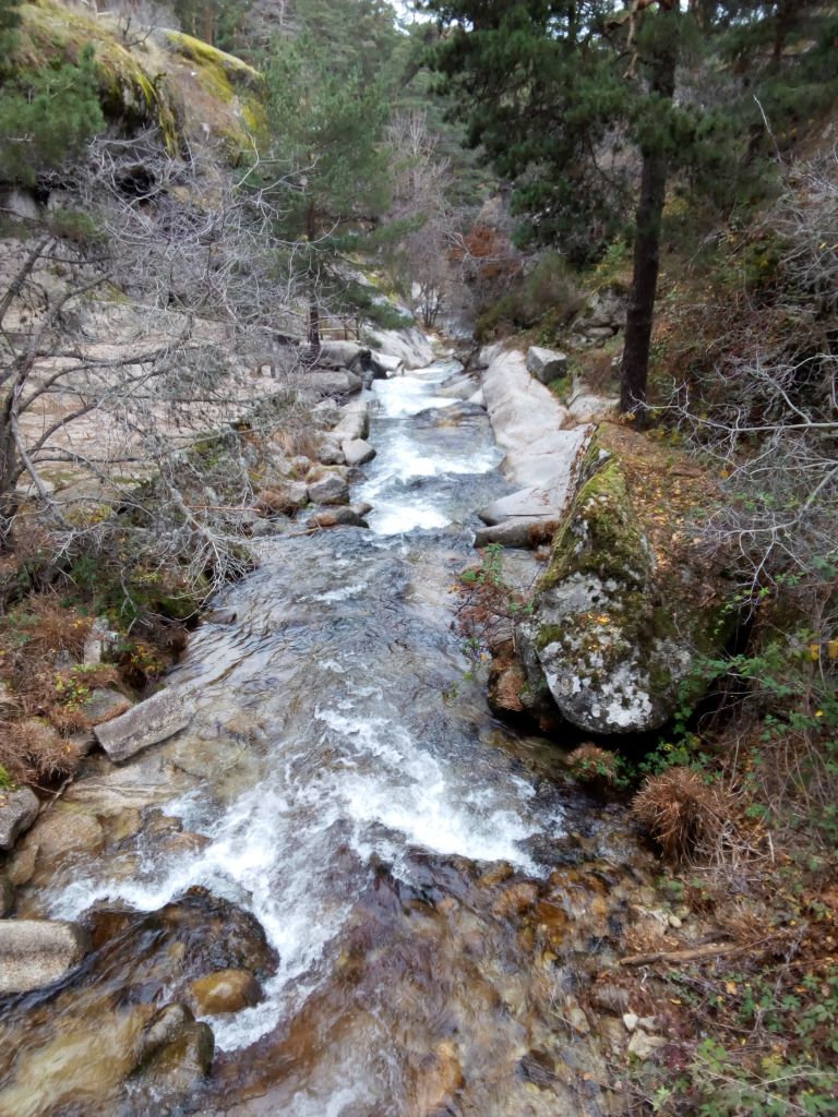 Encajonamiento del río en la reserva natural fluvial Alto Eresma