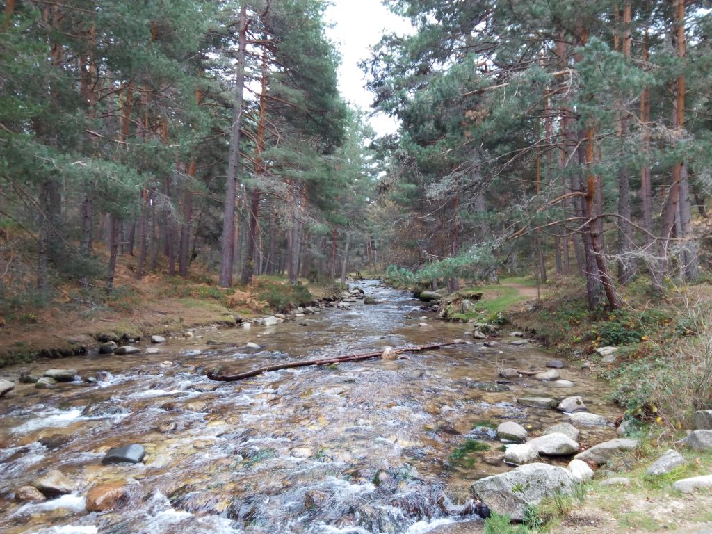 Reserva natural fluvial Alto Eresma antes de llegar al área recreativa Boca del Asno