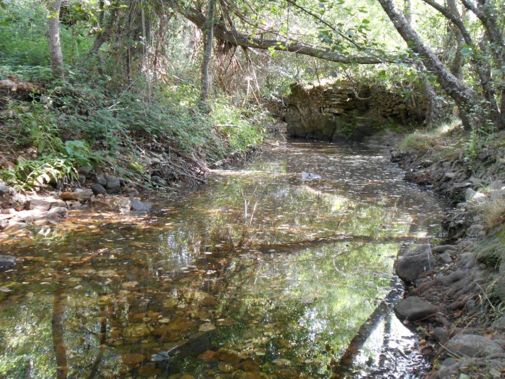 Antiguas construcciones presentes en la reserva natural fluvial Alto Turienzo y afluentes