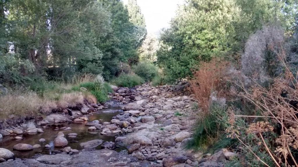 Distintas granulometrías presentes en el cauce de la reserva natural fluvial Río Corneja