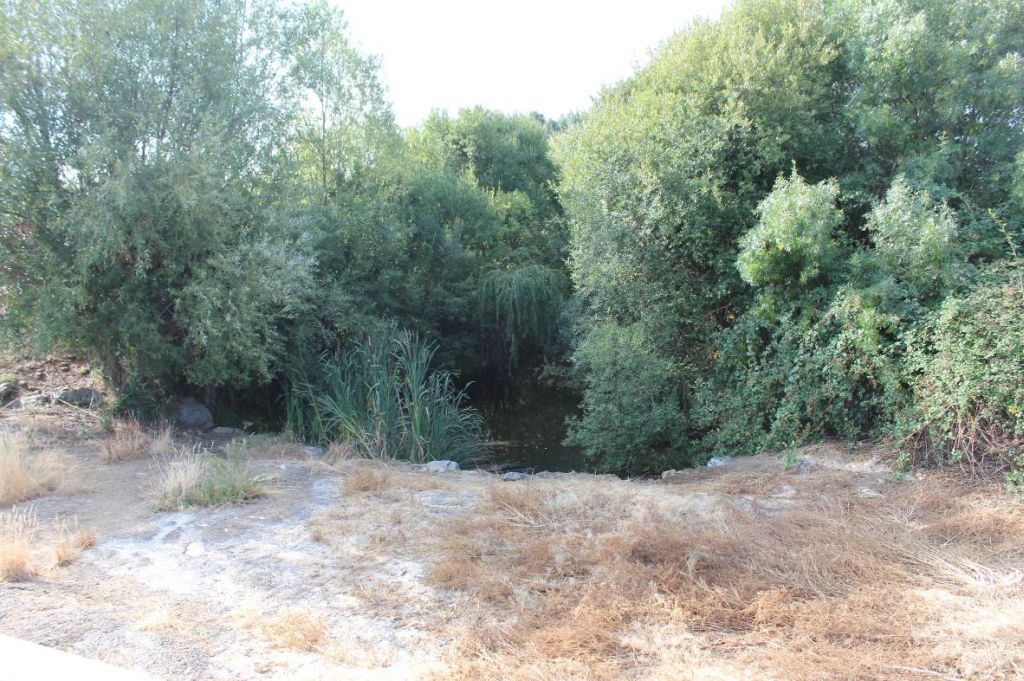 Paso sobre el río en la reserva natural fluvial Río Riosequino