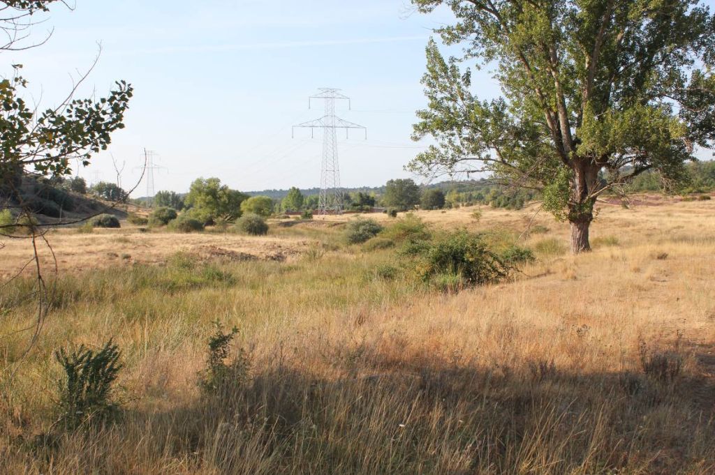 Río discurriendo entre pastizales y algún matorral disperso en la reserva natural fluvial Río Riosequino
