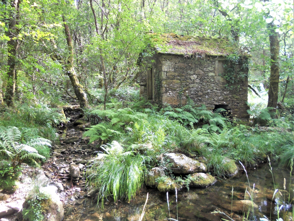 Reserva Natural Fluvial del Río Ulla-Deza. Zona: Río Grovas