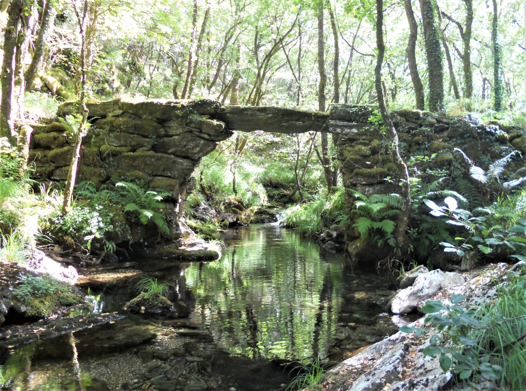 Reserva Natural Fluvial del Río Ulla-Deza. Zona: Río Grovas