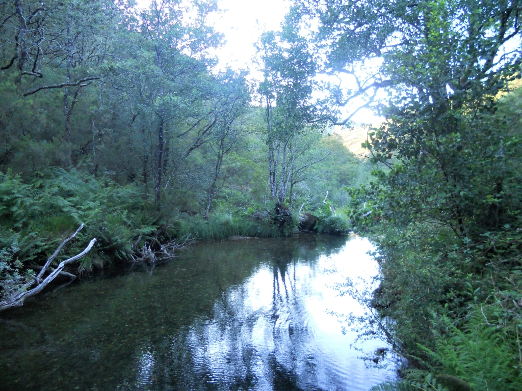 Reserva Natural Fluvial del Río Ulla-Deza. Zona: Deza