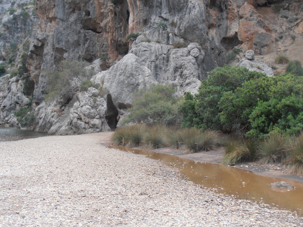Reserva Natural Fluvial Torrent de Lluc - Pareis