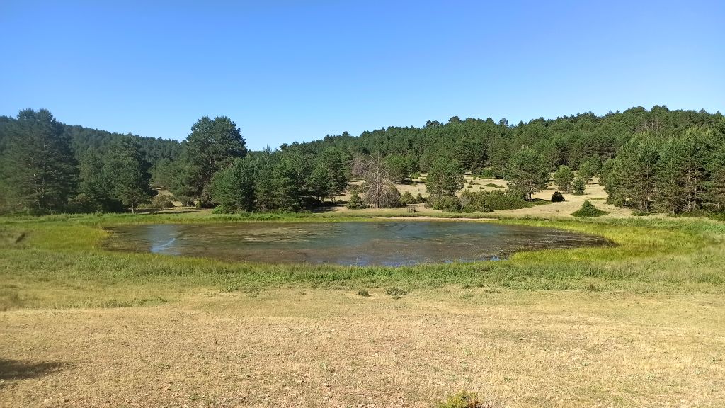 Laguan de Salobreja