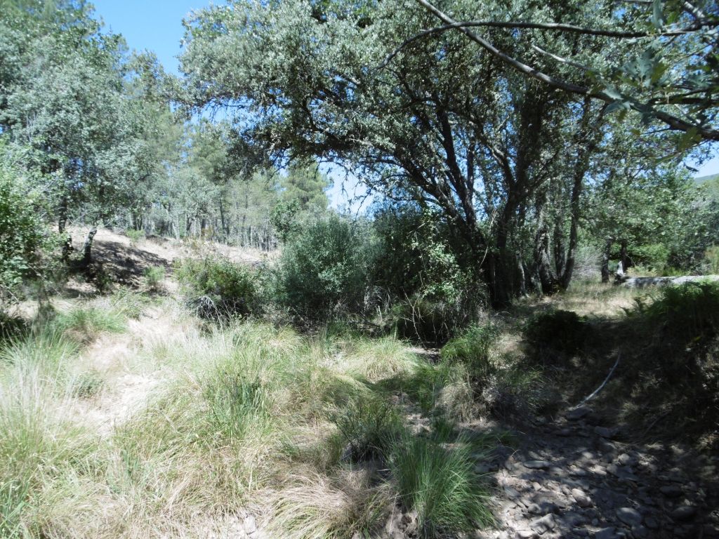 Vista de la reserva natural fluvial Arroyo Cabrera en época de estiaje