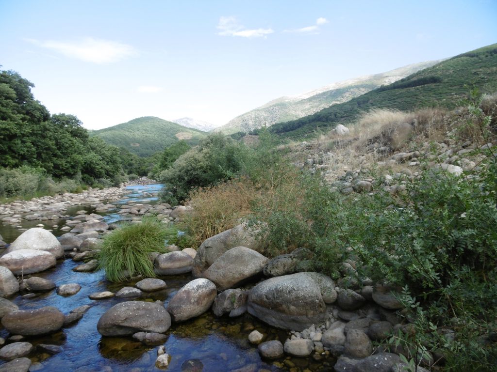 Cantos en la ribera de la reserva natural fluvial Garganta de los Infiernos que no permiten un buen desarrollo de la vegetación de ribera