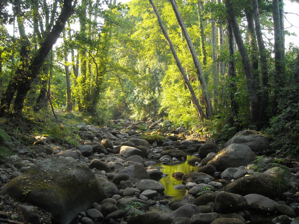 Granulometría de sedimentos gruesa, dominada por gravas, bloques y cantos en la reserva natural fluvial Garganta Mayor
