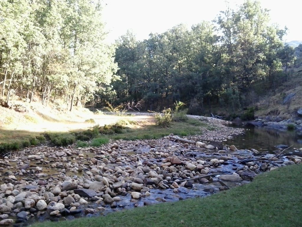 El río, a lo largo de la reserva natural fluvial Río Jarama, forma meandros donde se observan las diferentes granulometrías que conforman el lecho