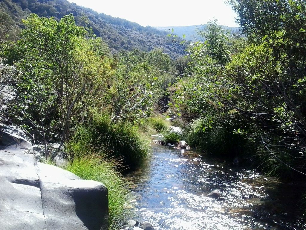Reflejo de luz sobre el cauce en la reserva natural fluvial Río Jaramilla