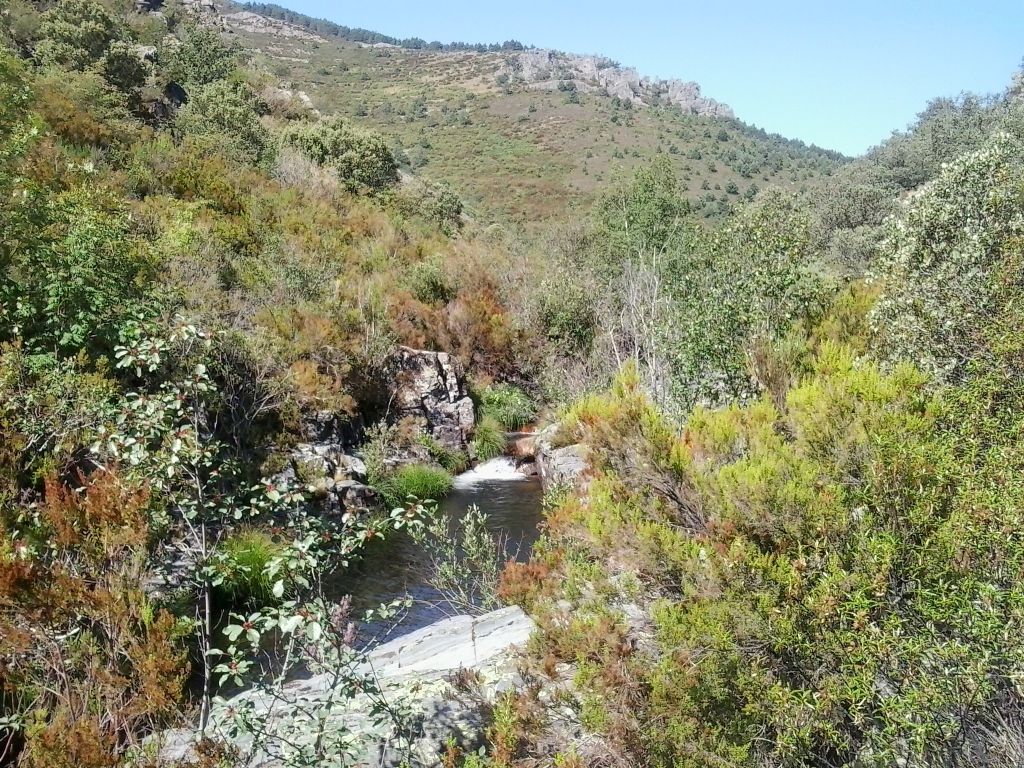 Matorral mediterráneo bordeando el río en la reserva natural fluvial Río Jaramilla
