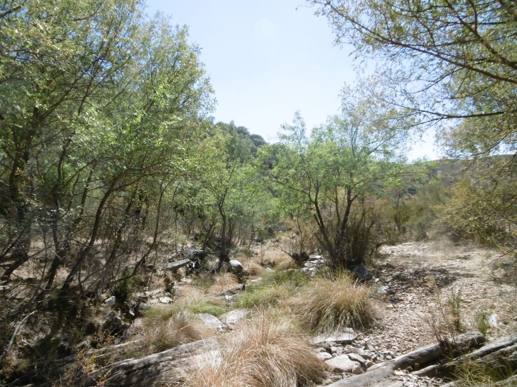 Reserva natural fluvial Río Malvecino en época de estiaje