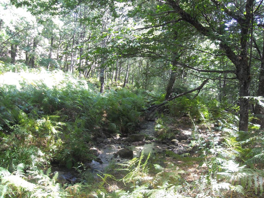Bolos y cantos ocupan el lecho de la reserva natural fluvial Río Muelas