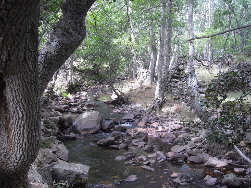 Los rápidos y remansos presentes en la reserva natural fluvial Río Pelagallinas generan una gran diversidad de hábitats