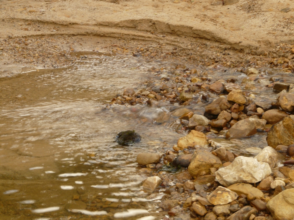 Reserva Natural Fluvial Alto Guadarranque