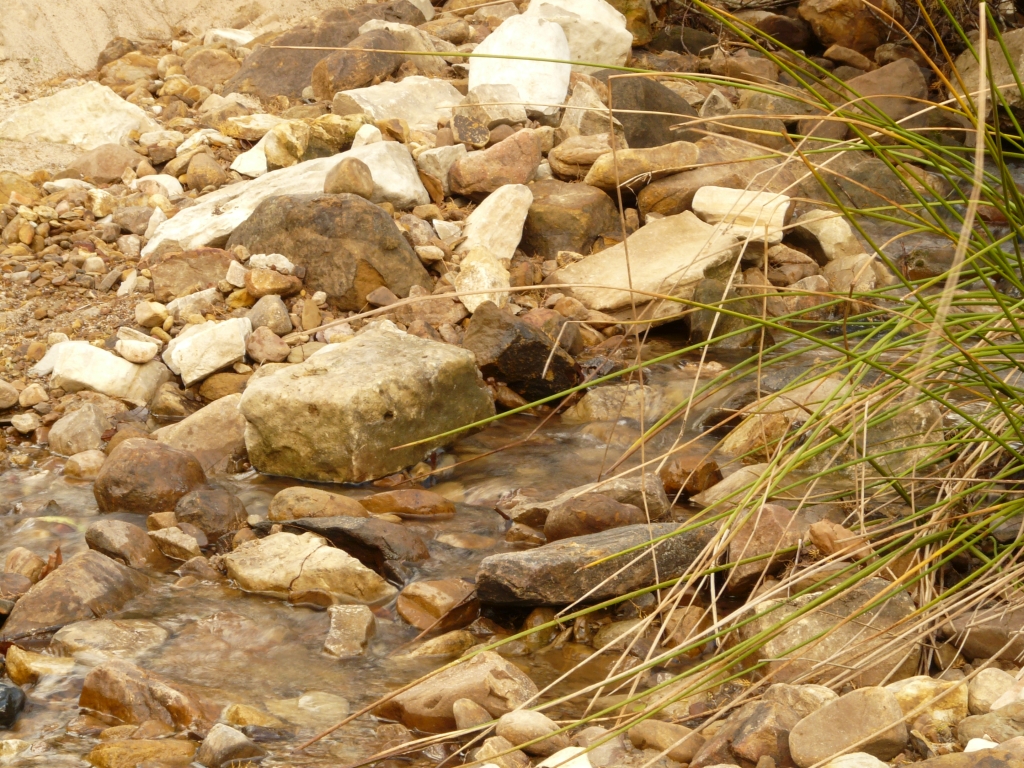 Reserva Natural Fluvial Alto Guadarranque