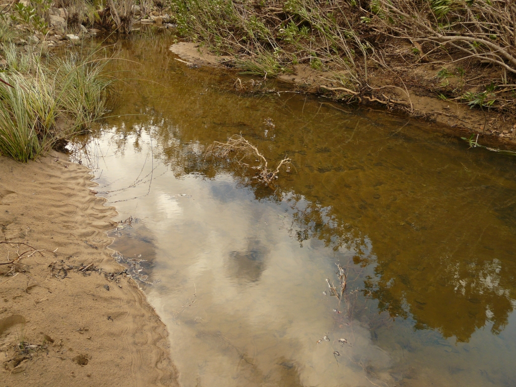 Reserva Natural Fluvial Alto Guadarranque