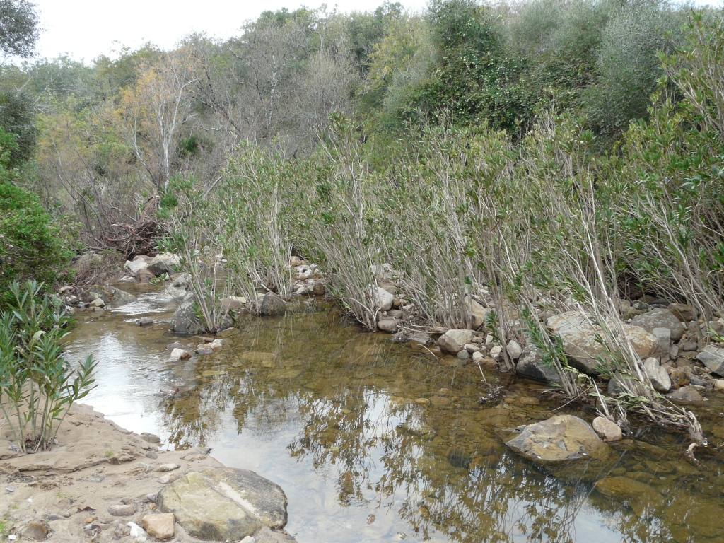 Reserva Natural Fluvial Alto Guadarranque