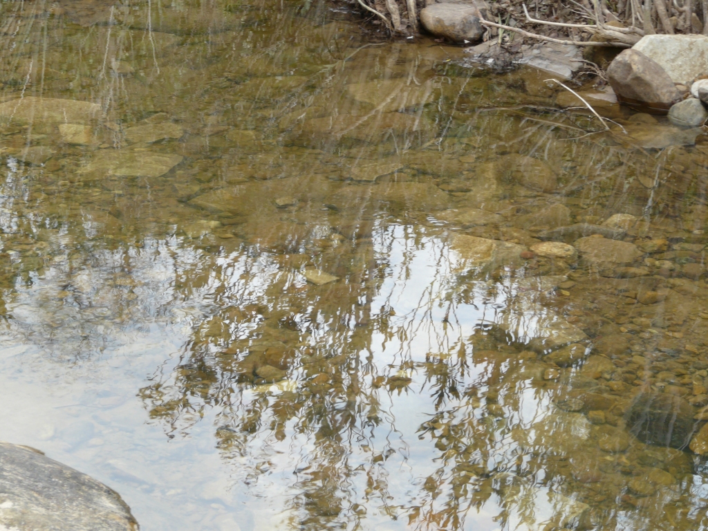 Reserva Natural Fluvial Alto Guadarranque