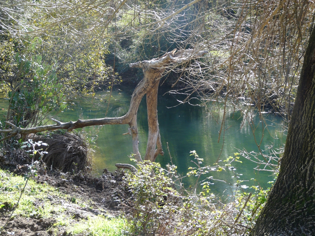 Reserva Natural Fluvial Alto Hozgarganta