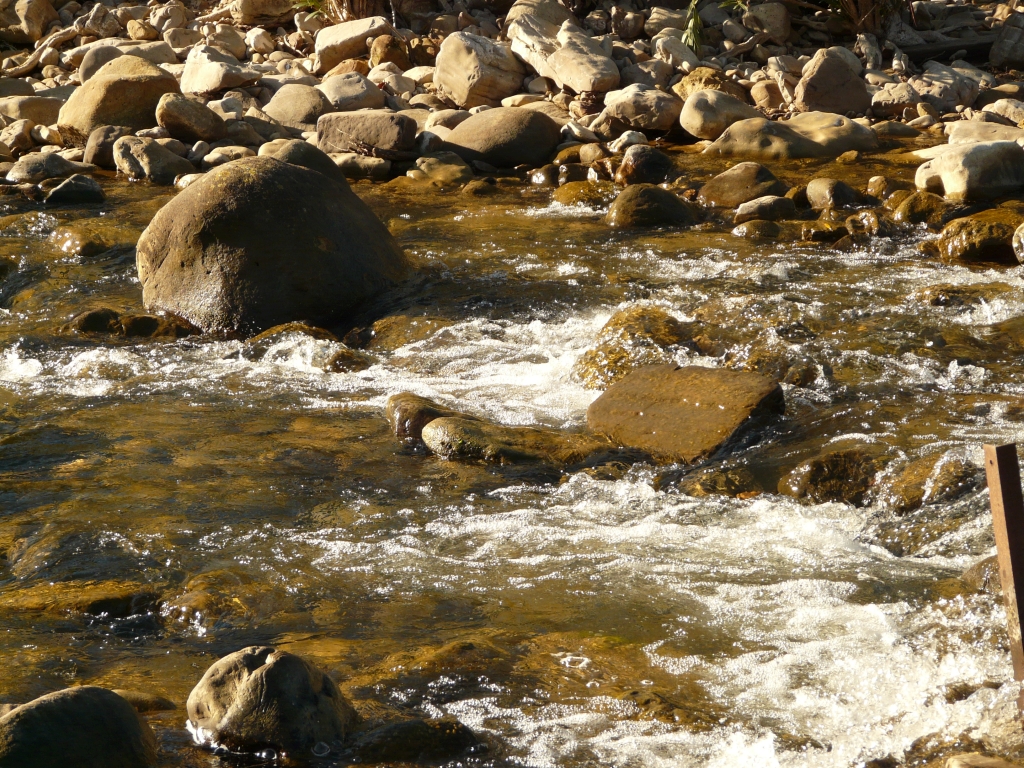 Reserva Natural Fluvial Alto Hozgarganta